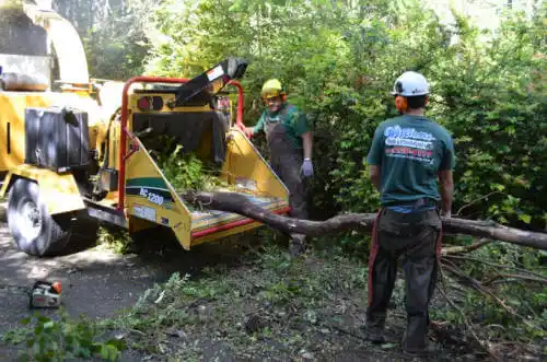 tree services Ponderay